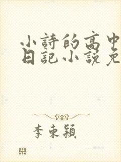 小诗的高中成长日记小说免费阅读封面