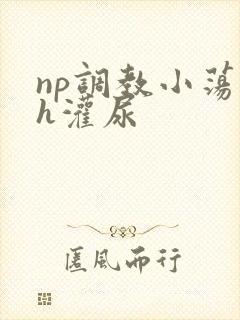 np调教小荡货h灌尿