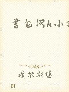 书包网h小说