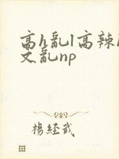高h乱l高辣h文乱np