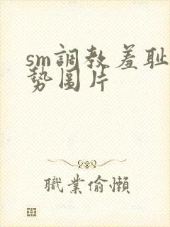 sm调教羞耻姿势图片