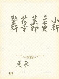 警花叶柔小说最新章节更新