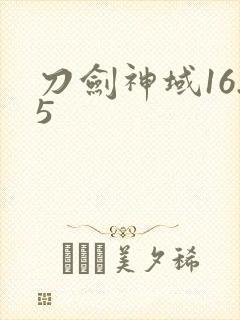 刀剑神域16.5