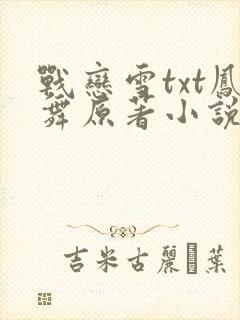 战恋雪txt凤舞原著小说