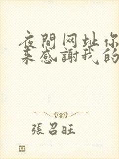 夜间网址你会回来感谢我的