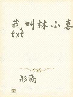 我叫林小喜小说txt