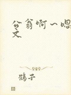 公翁啊～嗯啊h文