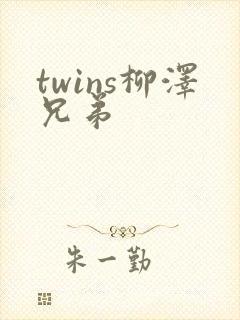 twins柳泽兄弟