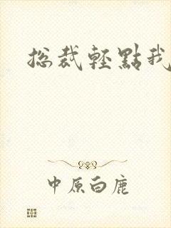 总裁轻点我怕疼