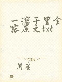 一泻千里金银花露原文txt