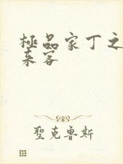 极品家丁之远方来客