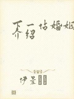 下一站婚姻剧情介绍