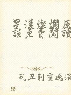 星汉灿烂原著小说免费阅读