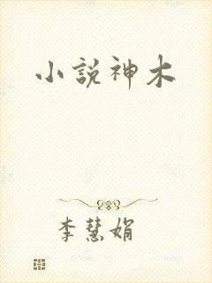 小说神木封面