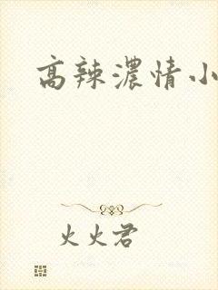 高辣浓情小说
