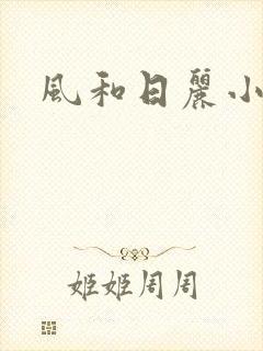 风和日丽小说