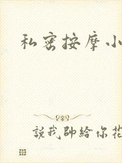 私密按摩小说