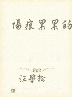 伤痕累累的勋章