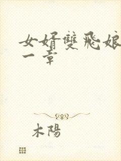 女婿双飞娘俩第一章