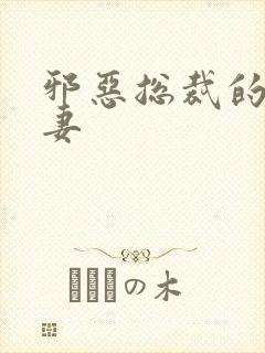 邪恶总裁的娇宠妻