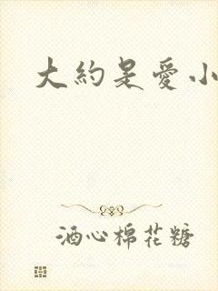 大约是爱小说