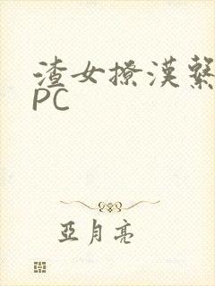 渣女撩汉系统NPC