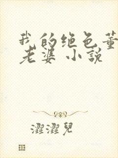 我的绝色董事长老婆 小说