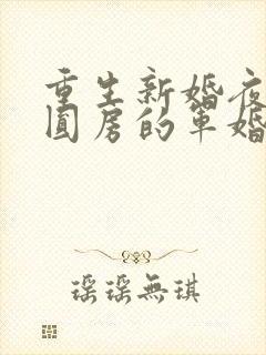 重生新婚夜正在圆房的军婚