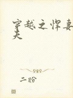 穿越之悍妻共三夫