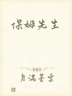 保姆先生
