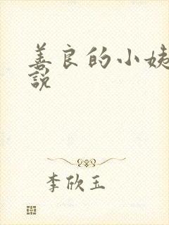 善良的小姨子小说
