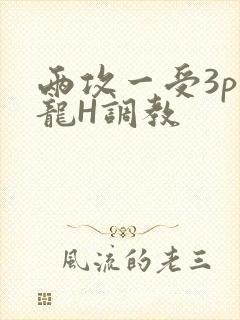 两攻一受3p双龙H调教