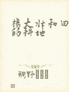 杨大壮和田桂花的耕地