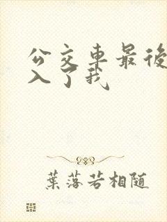 公交车最后一排入了我