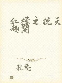 红楼之挽天倾笔趣阁