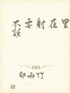 不要射在里面小说