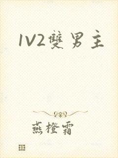 1V2双男主