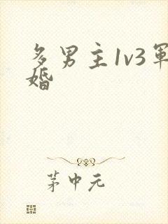 多男主1v3军婚