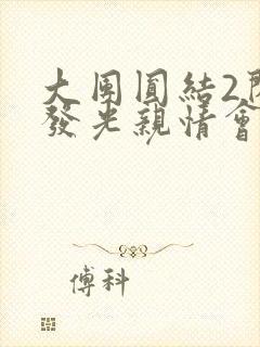 大团圆结2闪闪发光亲情会