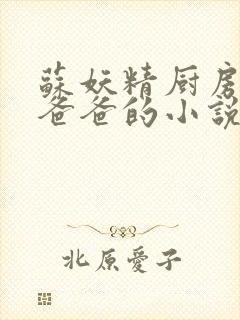 苏妖精厨房爹爹爸爸的小说