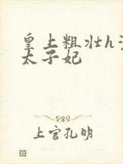 皇上粗壮h灌满太子妃