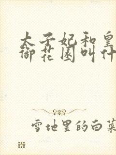 太子妃和皇帝在御花园叫什么小说