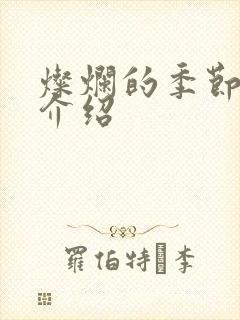 灿烂的季节剧情介绍