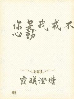 你是我戒不掉的心动