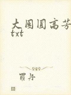 大团圆高芳小说txt