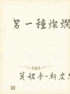 另一种灿烂生活