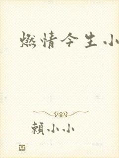 燃情今生小说