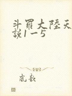 斗罗大陆天狂传说1一5