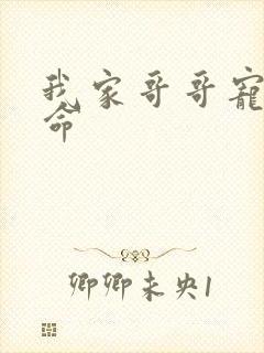 我家哥哥宠妹如命