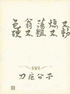 色翁荡熄又大又硬又粗又动态图